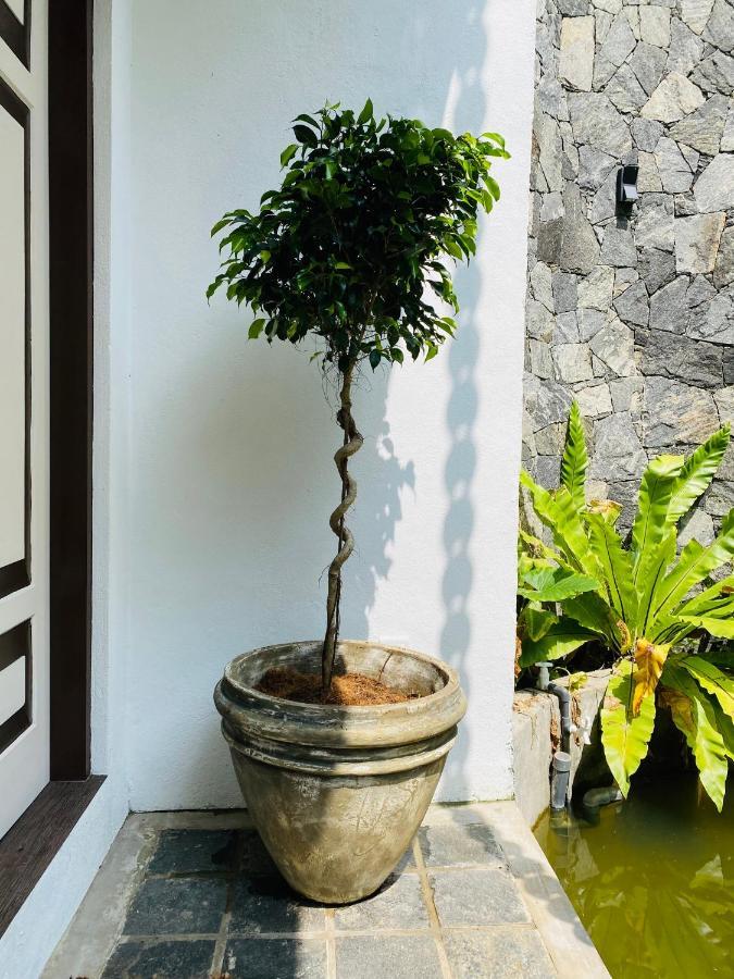 Thaprobana Villa Tangalle - Private Villa ภายนอก รูปภาพ